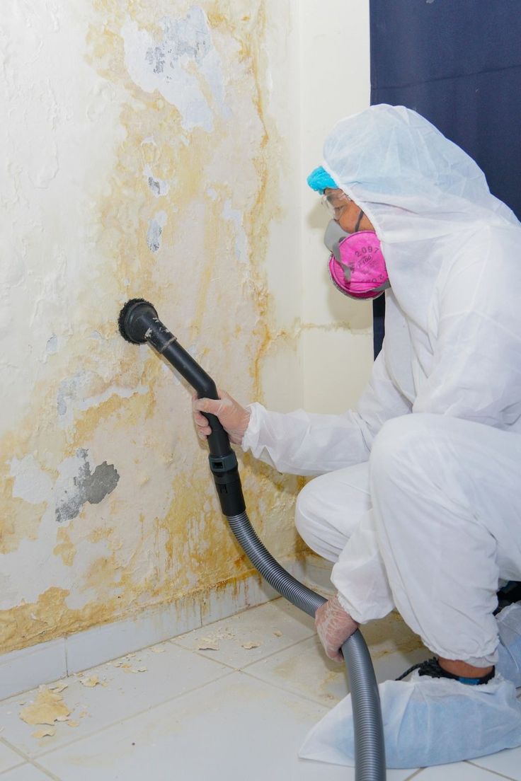 Mold Remediation and Removal